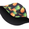 bob-ananas-noir-vue-interieure Bob-ananas-noir-vue-intérieure