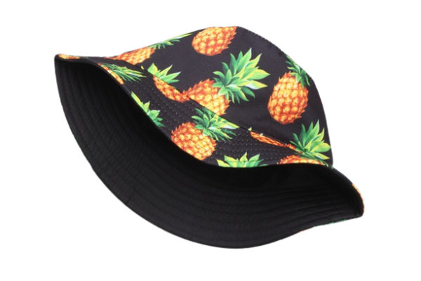 bob-ananas-noir-vue-interieure Bob-ananas-noir-vue-intérieure