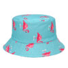 bob-flamant-rose-de-couleur-bleu-fond-blanc