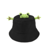Bob-grenouille-hopper-sur-fond-blanc