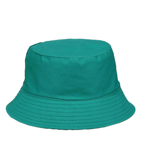 bob-vert Un bob vert sur un fond blanc